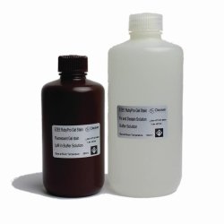 Protein gel staining kits | Description : RUBYPROL, Reagent A 250 ml, Reagent B 250 ml